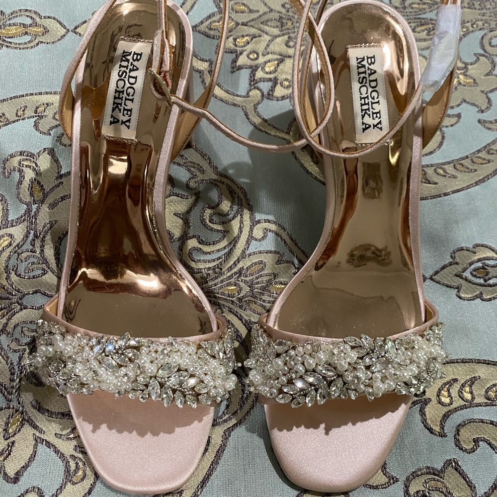 Badgley Mischka Clara Blush Satin